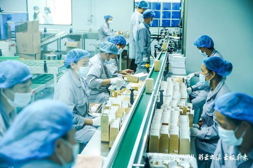 老滇凰云極工廠 以信息技術(shù)咨詢服務(wù)為引擎，驅(qū)動(dòng)云南蜂業(yè)現(xiàn)代化轉(zhuǎn)型